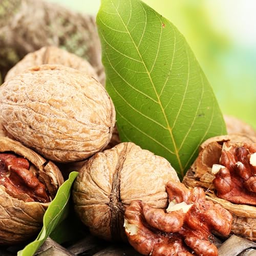 Image of LILA DRY FRUITS Walnut Kernals 250 g | 100% Natural Raw Walnuts Grade-8pcs | Akrot Giri Dry Fruit Rich in Iron and Protein | Ideal for Breakfast, Snacking | Low Calorie Nuts Perfect for Gifting
