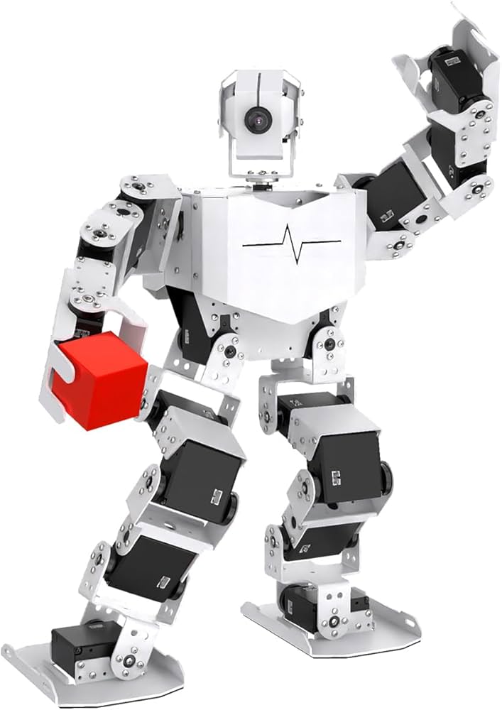 Amazon.com: HIWONDER AI Intelligent Visual Humanoid Robot for