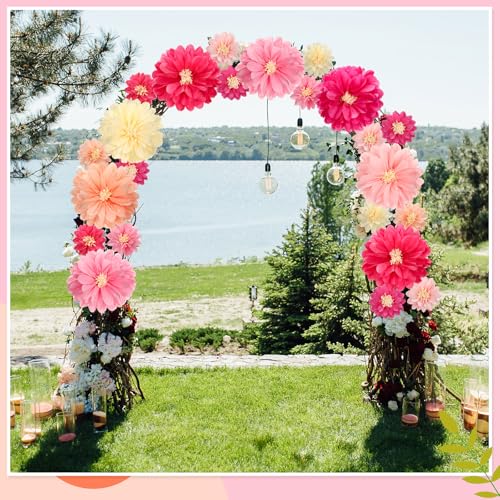 Image of Watersay 12 Pcs 10 inch 20 inch Large Tissue Paper Flowers, Pink Color