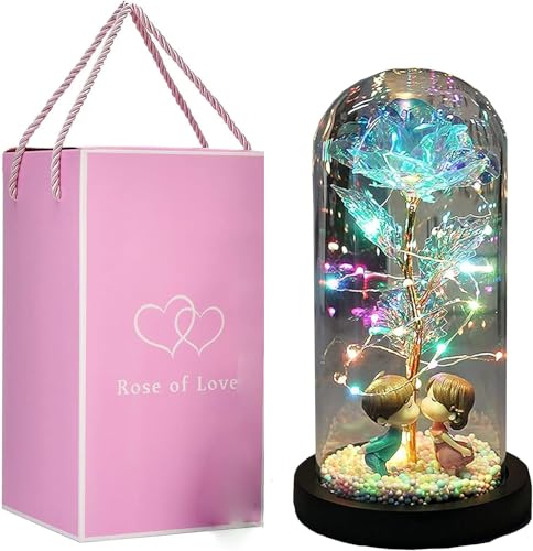 Maiitmor ̓Mtg ͂Ȃ o LEDCg dr 24KS[h[Y KN \[vt[Mtg ̓ j a LO NX}X VN jɓKp q ޏւ̑蕨 (ڕ+J[LEDCg)