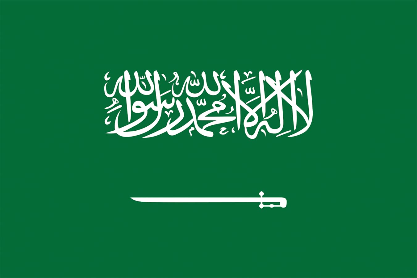3x5 Feet 276 International Global World Country Flags (SAUDI ARABIA)
