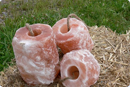 3 piedras de sal de Himalaya, calidad premium de Biova