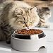 CatGuru Cat Bowls, Whisker Friendly Cat Food Bowl for Indoor Cats, Reliefs Whisker Fatigue, Wide Pet Bowl, Non Slip Pet Feeding Bowls, Shallow Kitten Dish (Set of 2, Stainless Steel)