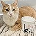 Stink Free Cat Solid Freshener, Absorber & Deodorizer - Room Purifier, Bathroom Odor Eliminator, Basement, Bedroom, House, Office etc. 15 oz. Rainstorm Fragrance