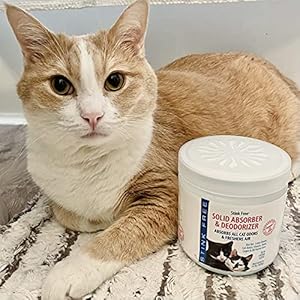 Cat Solid Freshener, Absorber & Deodorizer – Room Purifier, Bathroom Odor Eliminator, Basement, Bedroom, House, Office etc. 15 oz. Rainstorm Fragrance