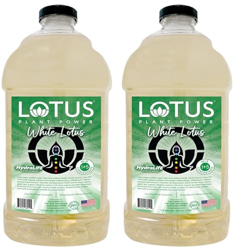 Lotus Energy Drink Concentrate 64 fl oz (White) Pack of 2 (Packaging May Vary)