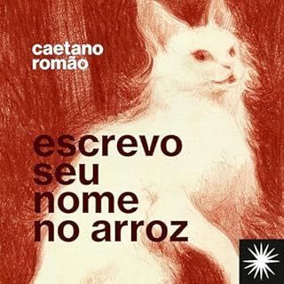 Escrevo seu nome no arroz Audiolivro Por Caetano Romão capa