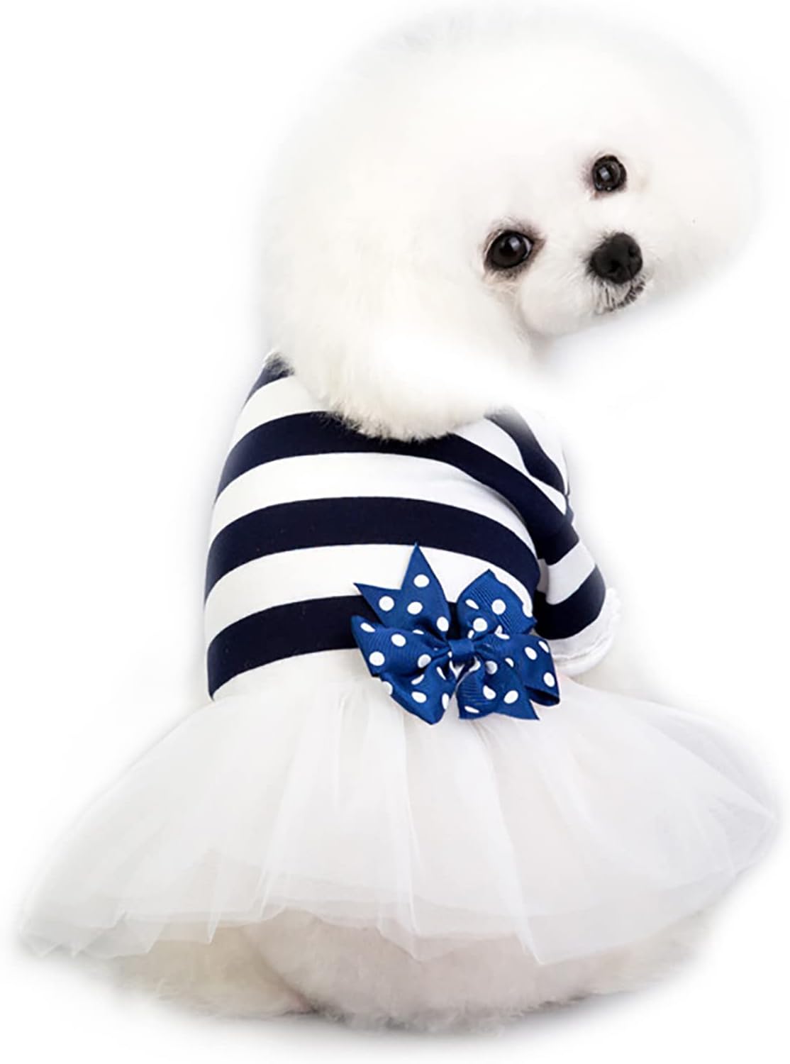 Shuumeekaペット服 ワンピース ドレス 春夏 夏服 犬服 スカート 涼しい 通気性 ドッグウェア 犬猫洋服 猫用 お出かけ用 お散歩 ネットワーク全体の最低価格に挑戦 ペットウェア 小中型犬 可愛い おしゃれ ペット用 犬用 Shuumeekaペット服 ワンピース ドレス 春夏 夏服 犬服 スカート 涼しい 通気性 ドッグウェア 犬猫洋服 猫用 お出かけ用 お散歩 ネットワーク全体の最低価格に挑戦 ペットウェア 小中型犬 可愛い おしゃれ ペット用 犬用