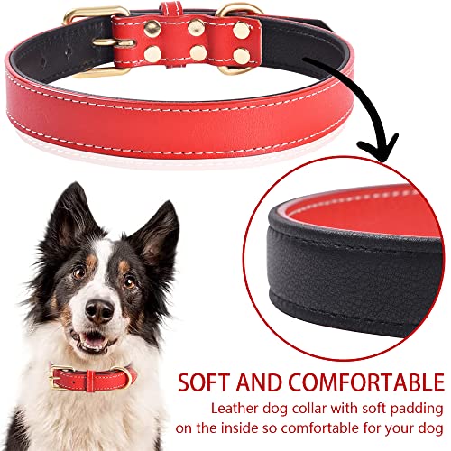 Genuine Leather Padded Dog Collar Comfortable Strong Soft Collars Best for Small Medium and Large Breed Dogs (Red)(M) - Image 4