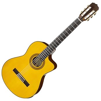 Amazon | ARIA A-35SCE アリア クラシックギター ナイロン弦