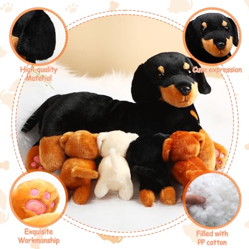 Juguetes Para Perro, Toy Imagen adicional