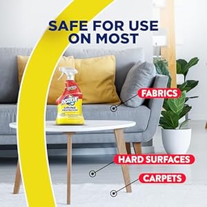 Resolve Urine Destroyer Spray – Pet Stain and Odor Remover, Carpet Cleaner Solution for Cat and Dog Urine, 32 Fl Oz Resolve Urine Destroyer Spray–Pet Stain and Odor Remover Carpet Cleaner Solution for Cat and Dog Urine 32 Fl Oz