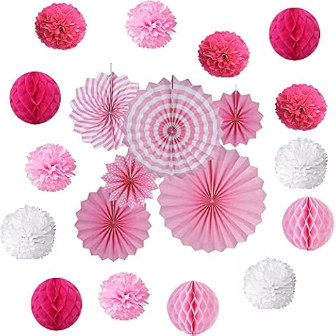 Hanging Paper Fans, Pink Paper Fans Party Decorations, Tissue Paper Pom Poms for Neutral Baby Shower, Vintage Party, Birthday, Bridal Showers, Rustic Wedding Decorations Cover
