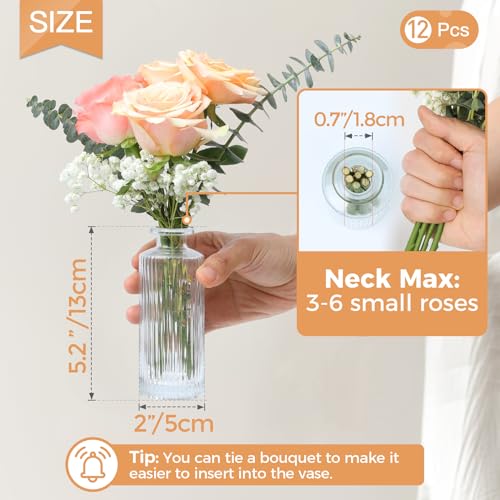 image for ComSaf Glass Bud Vases Set of 12, Small Bud Vase in Bulk, Mini Flower 