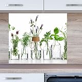 INDIGOS UG Küchenrückwand Platte für Fliesenspiegel - Kräuter in Gläsern - Glas - 60x50 cm - Spritzschutz Aluverbundplatte hitzebeständig - Rückwand Küche modern abwischbar - Herd & Ofen