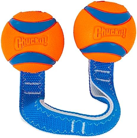 Chuckit! Ultra Duo Tug Dog Toy, Medium Indoor and Outdoor Dog Ball for Dogs 20-60 Pounds