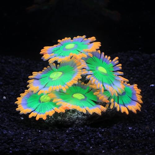 Image of ZtohPyo Glowing Effect Soft Anemone Aquarium Fish Tank Decorations Silicone Glow in The Dark Artificial Ornament Plants for Aquarium Landscape Small /Large Fish Bowl Decor Accessories