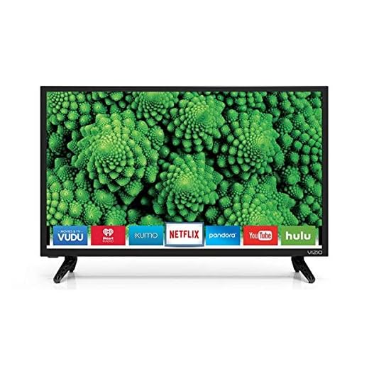 Vizio 24IN D-Series LED Smart TV 23.54IN DIAG D24H-E1