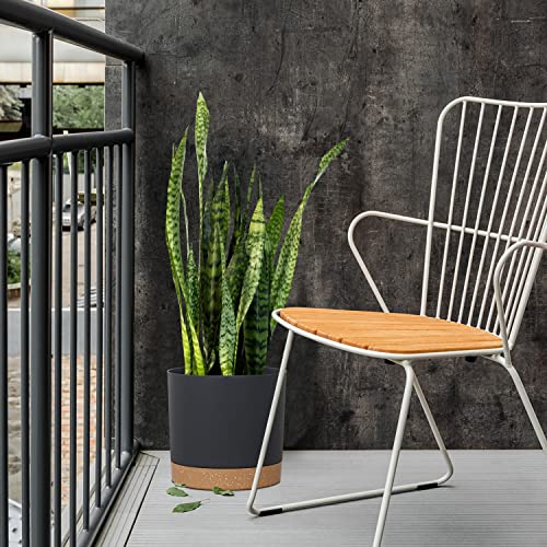 Kubvici Plant Pots For Indoor Plants, 2 Pack 10 Inch Plant Pot Plastic Flower Pots Planters With Drainage Saucer For Indoor Outdoor Garden Home (10" Black) #TOP4