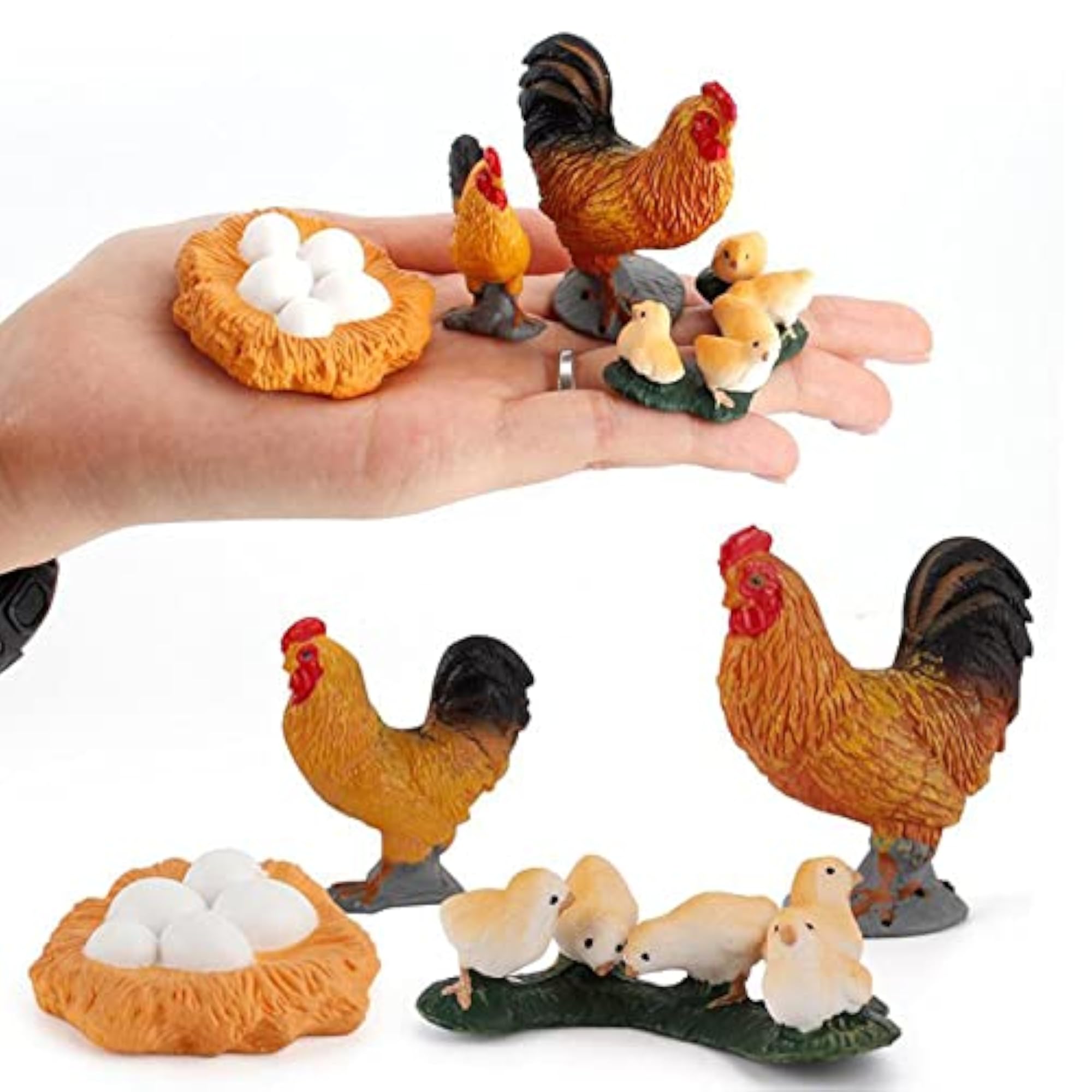 ABS Chicken Life Cycle Educational Learning Toy
