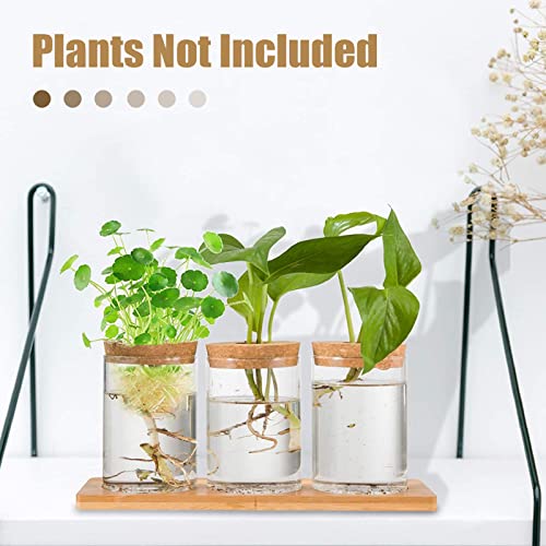 Desktop Plant Terrarium - 3 Pcs Glass Propagation Planter Water Station Tabletop Planting Vase With Lid & Wooden Stand For Growing Hydroponic Home Office Decoration #TOP2