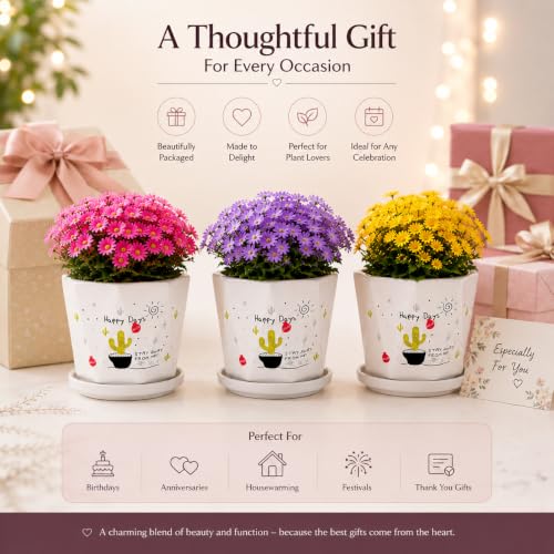 Image of Xtore Playful Printed Ceramic Planter Set of 3 with Drainage Trays | Decorative Indoor Flower Pots for Home, Office Desk & Balcony Styling (White Multicolor- Planter only)