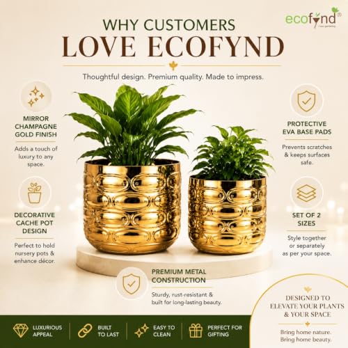 Image of ecofynd 2 Pack Metal Plant Pots (5 inch, 6 inch), Indoor Small Planter Flower Pots, Home Garden Decor Planter for Living Room Bedroom Interior (Gold Finish, POT056)