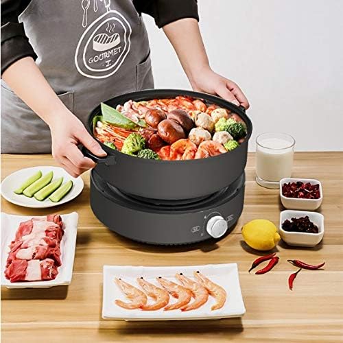 Olla Eléctrica PNAWLLCF 4L 1300W con Control de Temperatura miniatura 2