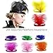 GYBZZR Sequins Feathers Headpiece 2 Pieces Feather Headband Mardi Gras Accessories 1920s Flapper Fashion Headwear For Womens (Black)