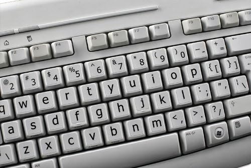 Miniatura 5 de Pegatinas de fondo gris claro con carcasa inferior grande no translúcida.