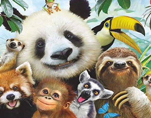 Gracefully Yours Animal Selfies Birthday Greeting Cards Featuring Howard Robinson, 12, 4 Designs/3 Each With Inspirational Message #TOP3