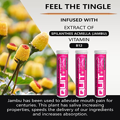 Image of Xero Picks Quit Infused Flavored Toothpicks to Help Quit Smoking (Pack of 3), Bubble Gum) Non-GMO Kosher Vegan