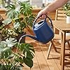 Fasmov Plastic Watering Can, Blue, 1-Gallon