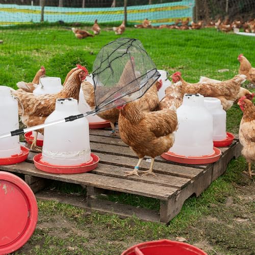 Atrápapollos extensible con gancho para pata de aves de corral de 42 a 90 cm 8