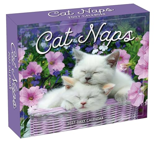 Cat Naps 2027 Daily Desk Calendar: Boxed Page-a-Day Cute Cat Photo Calendar with Day-to-Day Adorable Sleeping Kittens & Funny Feline Captions