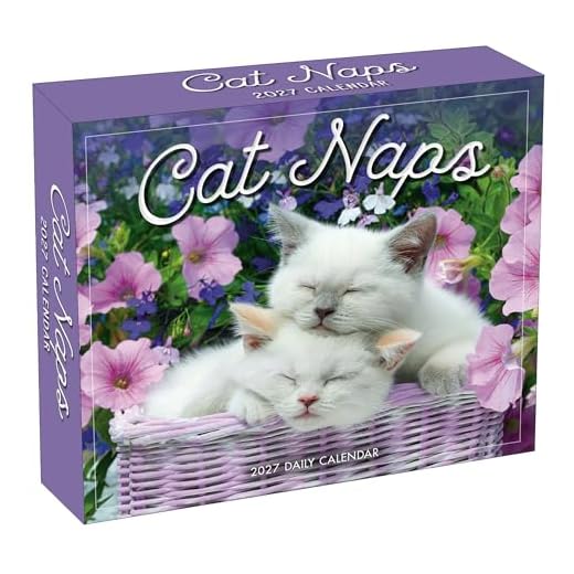 Cat Naps 2027 Daily Desk Calendar: Boxed Page-a-Day Cute Cat Photo Calendar with Day-to-Day Adorable Sleeping Kittens & Funny Feline Captions