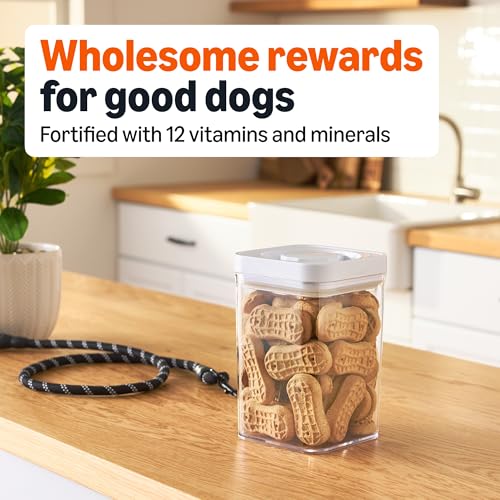 Amazon Basics Crunchy Dog Biscuits Peanut Butter Flavor Dog Treats 5 lb. Box - Image 4