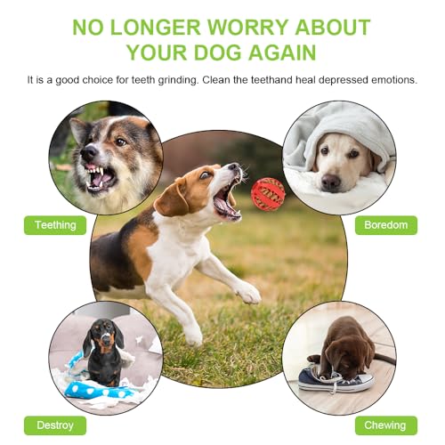 flintronic 4 Stück Hundeball, Naturgummi Hundespielzeug mit Minzgeschmack Ø 5cm, Kauspielzeug aus Naturgummi, Hundezahn Reinigungs Spielzeugball, interaktives Hundespielzeug für Große & Kleine Hunde