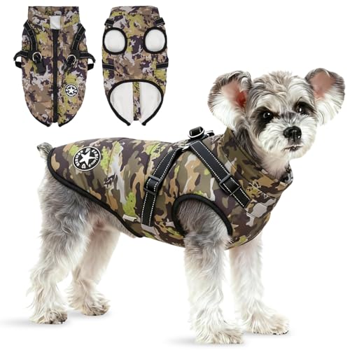 Anzentakai  ~y2025N~̓ozy ȕR[g n[lXt wJ   Ԕ g ybg L   ~ EȒP N ̕ xXg h h  WPbg [hO ^ ^ ^