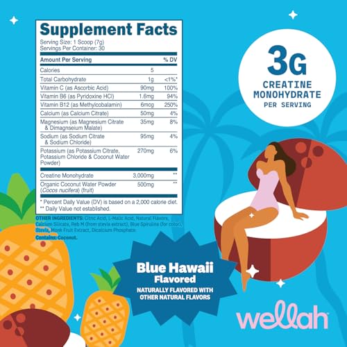 Image of Wellah Creatine + Electrolytes Powder (Blue Hawaii) 30 Servings - Hydration Drink Mix with 3g of Creatine Monohydrate