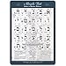 Biblical & Modern Hebrew Alphabet Poster UV Protected Sheet (A3 11.7x16.5in) Ancient Paleo Hebrew Alef Bet Learning Chart, Vowel Explanation for Basic Reading Skills, Hebrew Study Guide, Aleph Bet