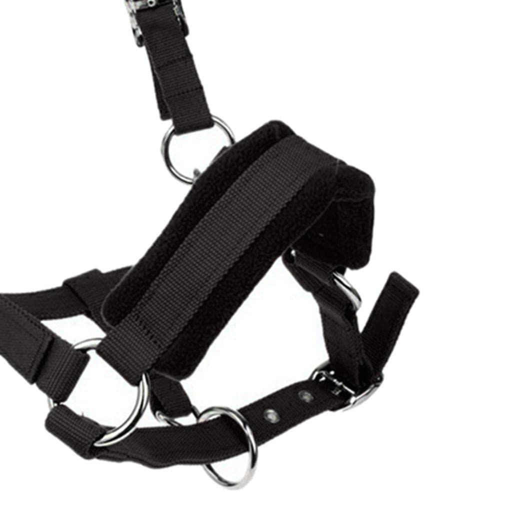 Qianly Cabezada de Gruesa para Caballo COB