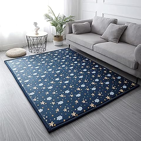 Loartee Coral Velvet Area Rug Cover