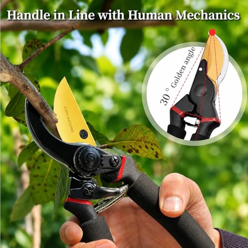 Image of COVACURE 8 Inch Heavy Duty Gardening Scissors - Pack of 1 | Plants Scissor | Garden Shear Tree Branch Pruner | Gardening Cutter Tool | Plant Cutter For Home Garden | Wood Branch Trimmer