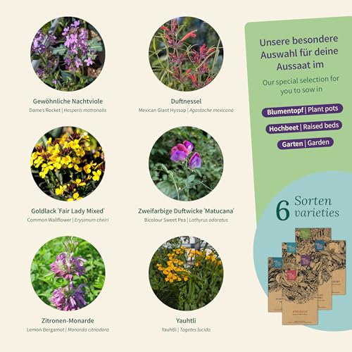 Magic Garden Seeds - Duftpflanzen Saatgut Box - Blütenzauber für Balkon, Beet & Sinne - Samenfestes Saatgut, betörende Blumen als Geschenkidee für Gartenfreund:innen