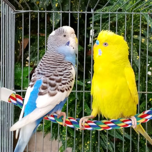Image of Colorful Bird Rope Perch Stand, Birdcage Swing Spiral Toys, Bird Climbing Standing Bungee Rope Perches Chew Toys Cage Accessories for Cockatiels Parrots Birds (15.7 inch /40 cm)