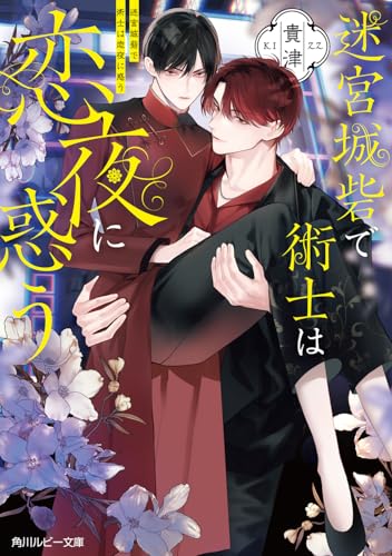 迷宮城砦で術士は恋夜に惑う (角川ルビー文庫)
