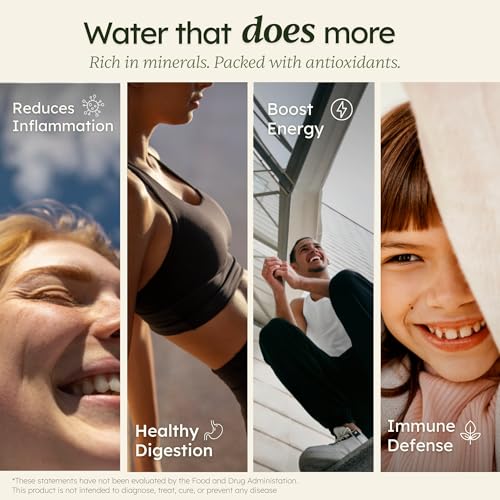 IVYEL PL-MAX Alkaline Water Machine - Korea-Made Smart Faucet Water Ionizer, pH 3.5-10.0 Alkaline/Acidic/Hydrogen Water, DARC Self-Cleaning, 5-Year Warranty thumbnail 2