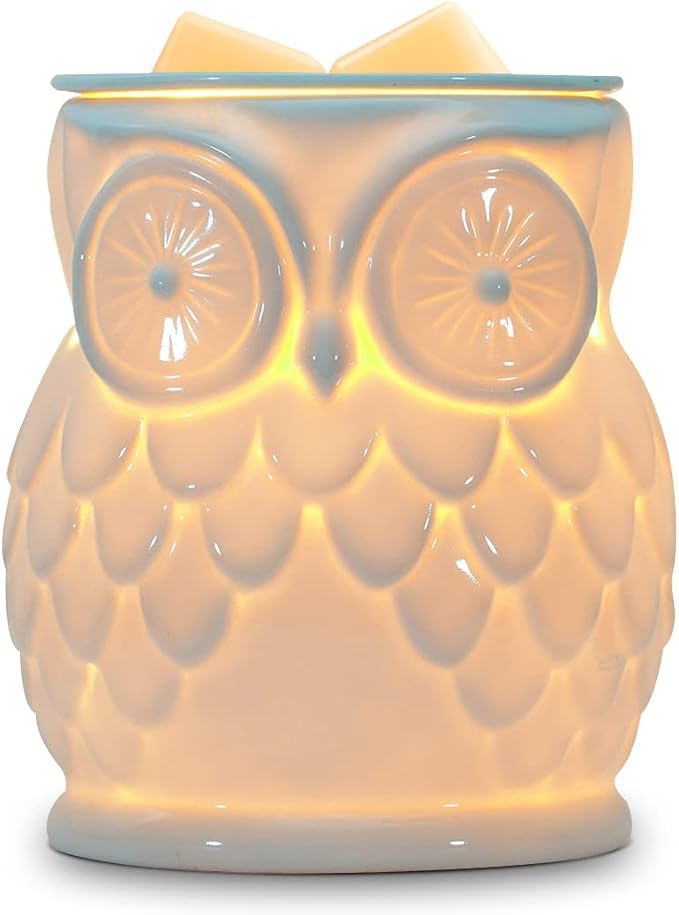 Electric Wax Melts Burner Ceramic Oil Burner Fragrance Warmer Melter Aromatherapy