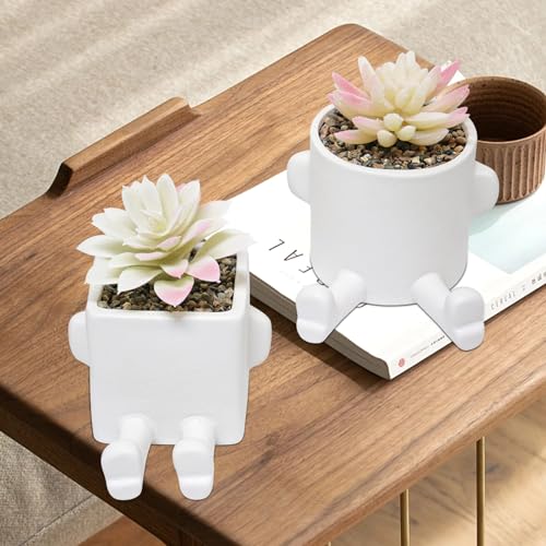 Buying Guide SEMSOIIO Cute Fake Plants, Faux Succulents, Plant Pot